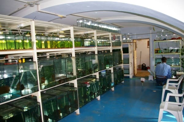 Akvaristika České Budějovice