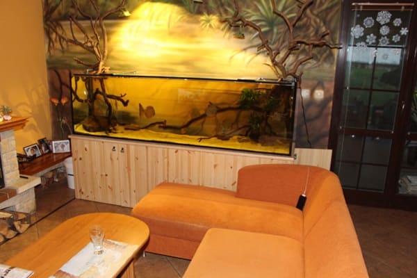 Akvaristika České Budějovice
